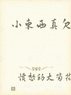 小东西真欠弄