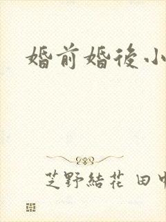 婚前婚后小说