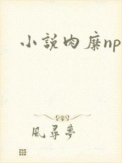 小说肉糜np