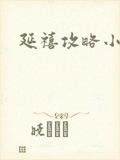 延禧攻略小说封面