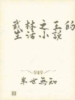 武林之王的退隐生活小说