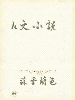h文小说