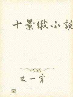 十景缎小说