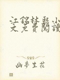 江铭林熙小说全文免费阅读封面