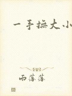 一手抚大小说