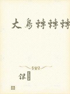 大鸟转转转酒吧封面