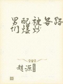 男配被各路大佬们爆炒