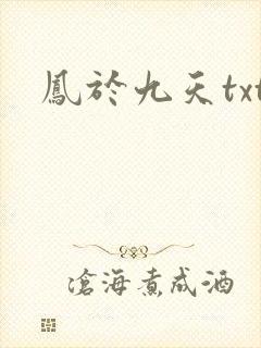 凤于九天txt
