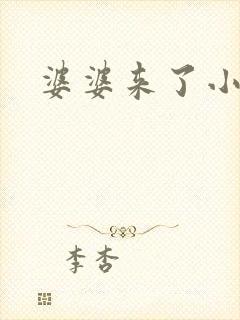 婆婆来了小说封面