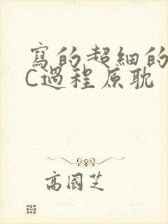 写的超细的多肉C过程原耽