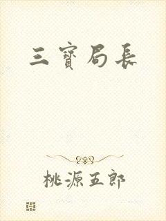 三宝局长封面