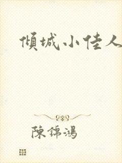 倾城小佳人封面