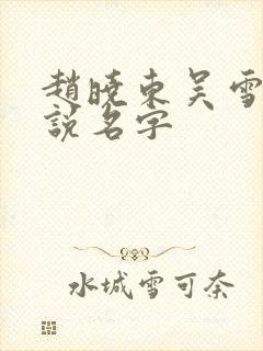 赵晓东吴雪晴小说名字