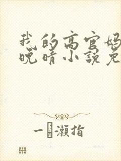 我的高官妈妈苏晚晴小说免费阅读