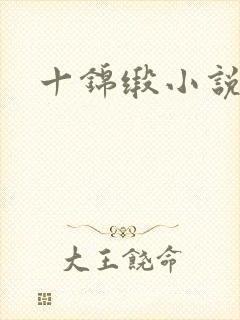 十锦缎小说