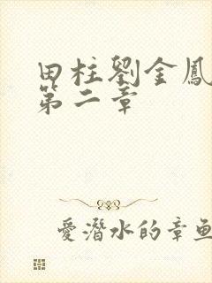 田柱刘金凤小说第二章封面