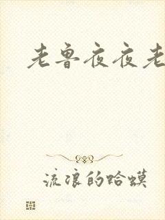 老鲁夜夜老鲁