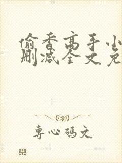 偷香高手小说无删减全文免费