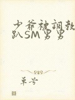 少爷被调教室跪趴SM男男封面