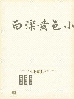 白洁黄色小说