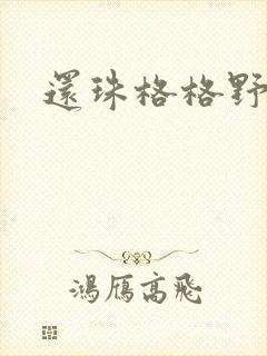 还珠格格野传封面