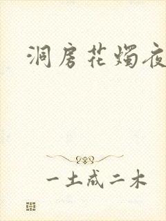 洞房花烛夜小说