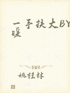 一手扶大BY泱暖封面