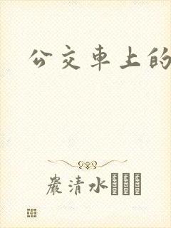 公交车上的诗晴封面