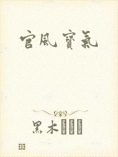官风宝气封面
