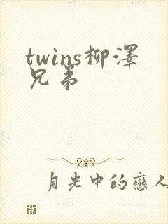 twins柳泽兄弟