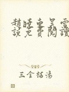 赵晓东吴雪晴小说免费阅读封面