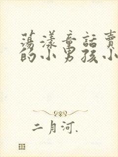 荡漾童话卖火柴的小男孩小说封面