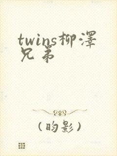 twins柳泽兄弟