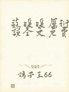 苏暖暖厉衍琛小说全文免费阅读