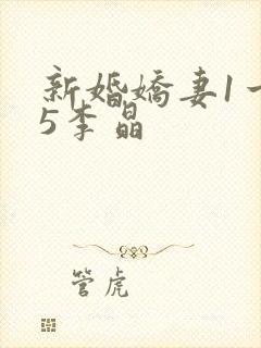 新婚娇妻1一25李晶