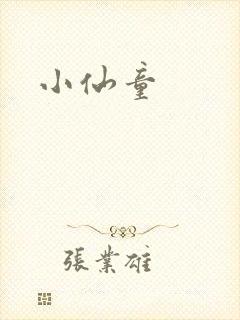 小仙童封面