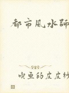 都市风水师3封面