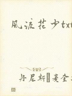 风流花少txt封面