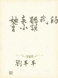 她来听我的演唱会小说