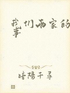 我们两家的荒唐事