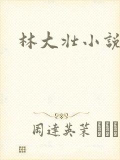 林大壮小说阅读