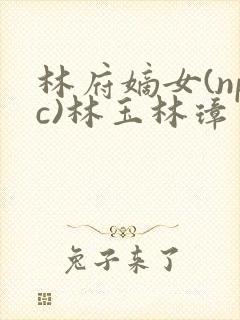 林府嫡女(npc)林玉林璋