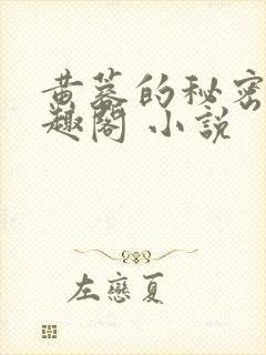 黄蓉的秘密 笔趣阁 小说