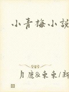 小青梅小说封面
