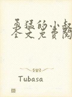 勇猛的小叔小说全文免费阅读