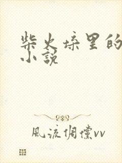 柴火垛里的疯狂小说