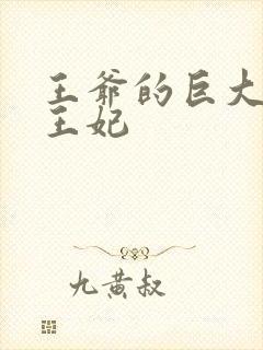 王爷的巨大进入王妃