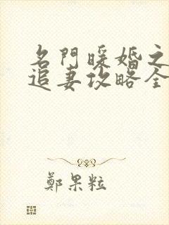 名门暖婚之权爷追妻攻略全文免费阅读