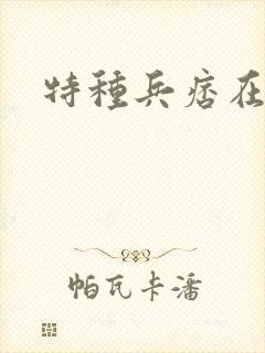 特种兵痞在都市
