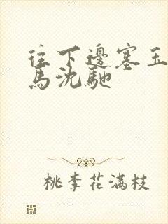 往下边塞玉器骑马沈驰